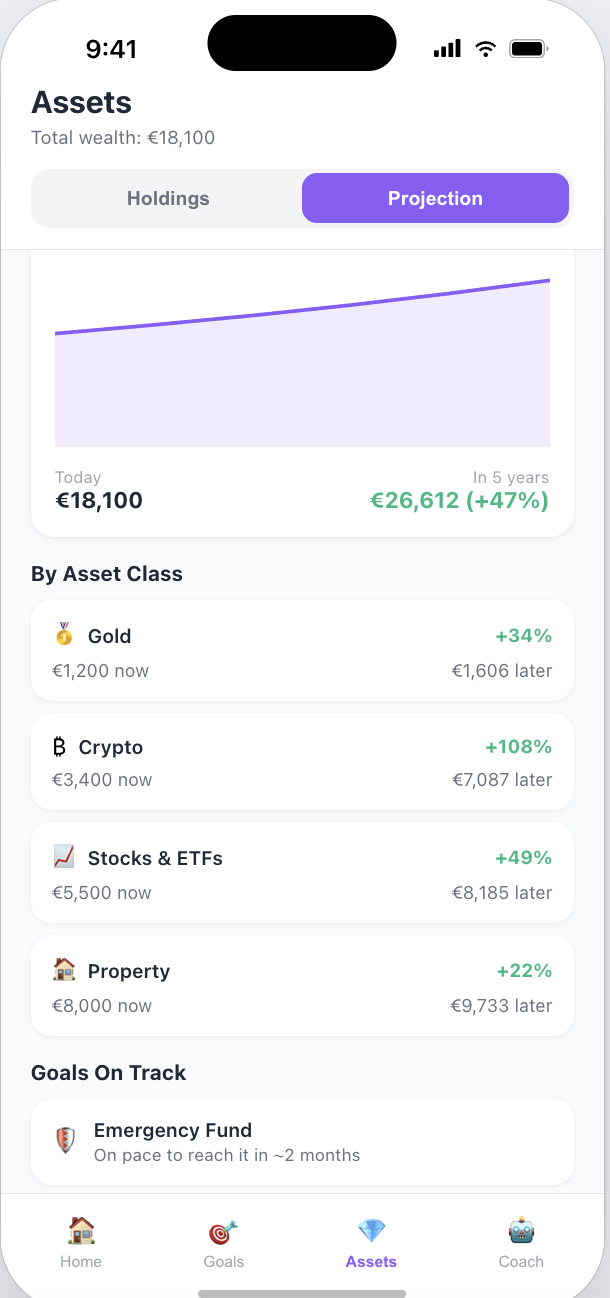 Tally assets screen: net worth by asset class with 5-year projection